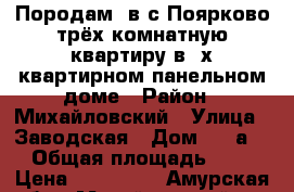 Породам  в с.Поярково трёх комнатную квартиру в 2х квартирном панельном доме › Район ­ Михайловский › Улица ­ Заводская › Дом ­ 10а/2 › Общая площадь ­ 65 › Цена ­ 950 000 - Амурская обл., Михайловский р-н, Поярково с. Недвижимость » Квартиры продажа   . Амурская обл.